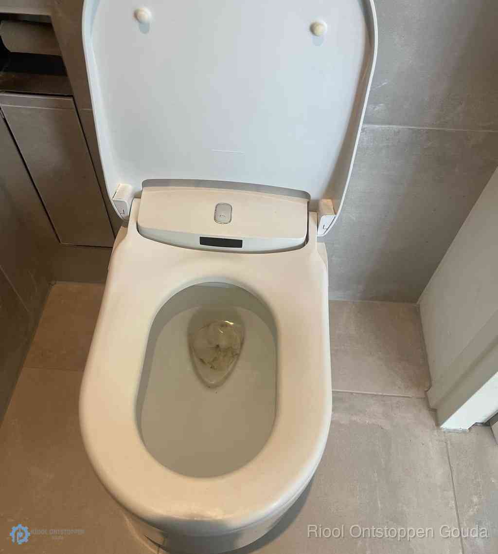 Toilet Ontstoppen Gouda